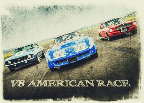 V8 American Race - Mustang Register of Italy MRI